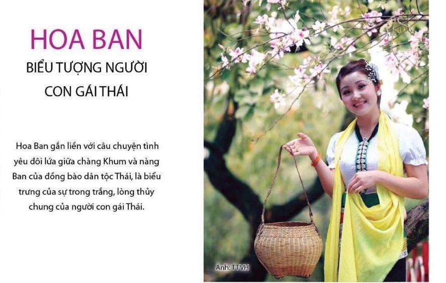 Agri Hotel Diện Biên Phủ Exteriér fotografie